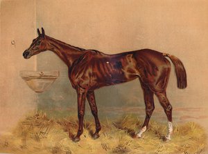 Emblem, Steeplechase Mare