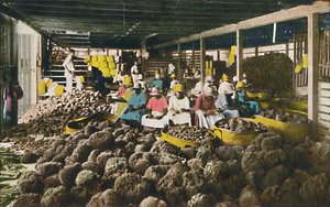 Esfakis - Sponge Packing House - Nassau, Bahamas