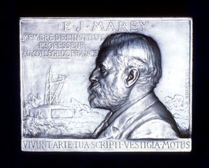Etienne Jules Marey, French Physiologist by Unbekannt