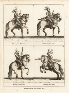 Exercise of the Horse by Unbekannt