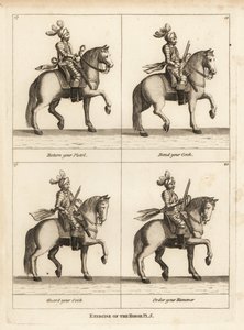 Exercise of the Horse by Unbekannt