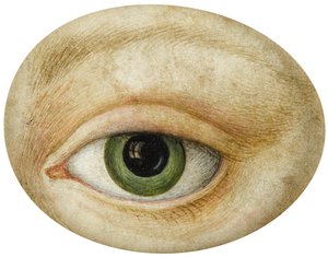 Eye