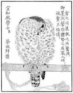 Falcon, 1886