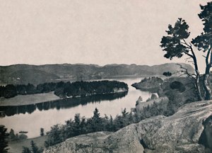 Farris, Larvik