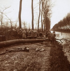 Felling Trees, Noyon, Northern France