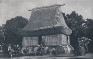 Fijian House by Unbekannt