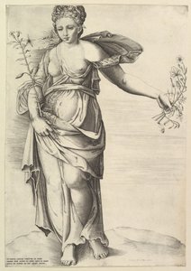Flora by Unbekannt