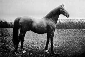 Florizel II