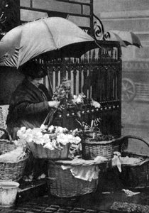 Flower Seller, Piccadilly Circus, London