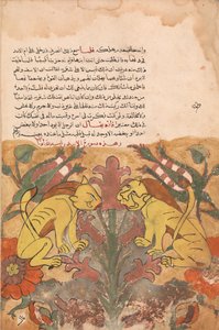 Folio from a Kalila wa Dimna, 18th century by Unbekannt