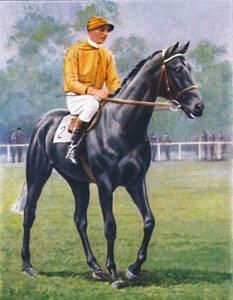 Foray, Jockey: P. Beasley by Unbekannt