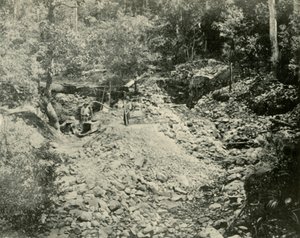 Fossickers at Work