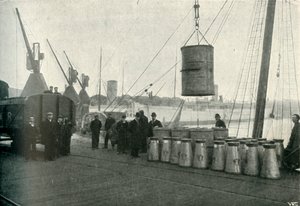 French Milk Being Landed at Southampton, 1902 by Unbekannt