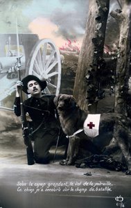 French WWI Postcard