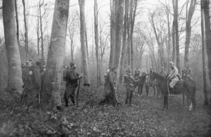 French Patrols in the Forest of Argonne, France by Unbekannt