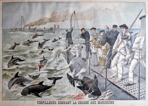 French torpedo boats hunting porpoises