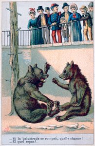 French Zoological Postcard by Unbekannt