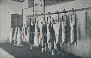 Frozen Meat