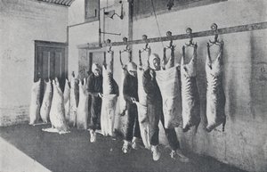 Frozen Meat