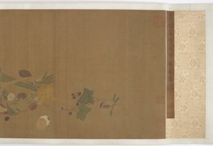 Fruits, Vegetables, Flowers, and Insects