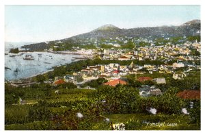 Funchal, Madeira, early 20th century by Unbekannt