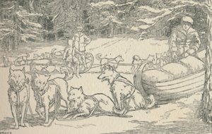Fur-Trappers