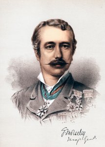 Garnet Joseph Wolseley, Viscount Wolseley, Irish-Born British Soldier, c. 1880 by Unbekannt