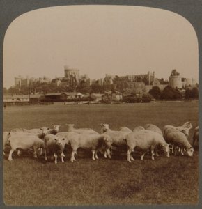 General View Windsor Castle, England by Unbekannt