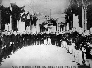 General Wood by Unbekannt