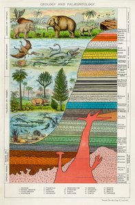 Geology and Palaeontology, c1880 by Unbekannt
