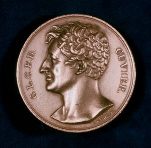 Georges Leopold Chretien Frederic Dagobert, Baron Cuvier, French Anatomist by Unbekannt
