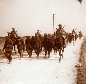 German Prisoners, c1914-c1918