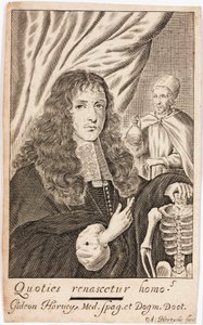 Gideon Harvey, English physician by Unbekannt