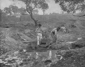 Gold-Digging in Australia