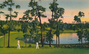 Golfing, a Year Round Sport in Florida