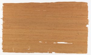 Grasscloth by Unbekannt