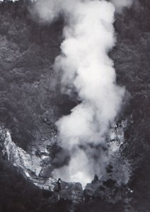 Great Wairakei Geyser