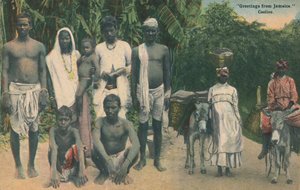 Greetings from Jamaica. Coolies by Unbekannt