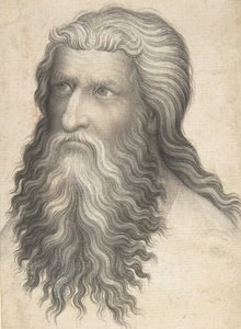Head of a Bearded Man