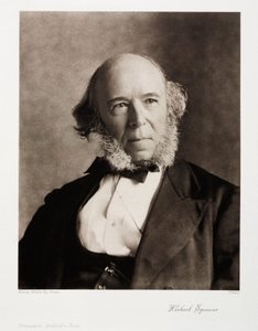 Herbert Spencer, English social philosopher by Unbekannt