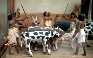 Herding cattle, Ancient Egyptian tomb model