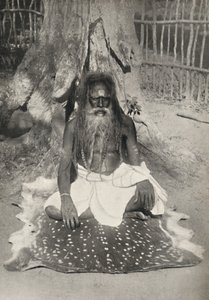 Hindu-Busser Asket by Unbekannt