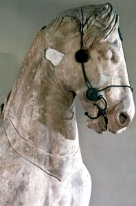 Horse, Quadriga of the Mausoleum at Halikarnassos by Unbekannt