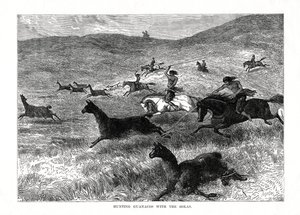 Hunting Guanacos with the Bolas, South America by Unbekannt