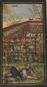 Illustration for The Wonderful Summer Time of Eternal Life by Jacob Zader by Unbekannt
