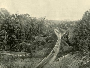 In the Blackall Ranges