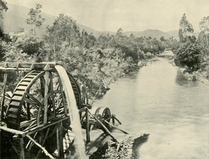 In the Ovens River, Germantown, 1901