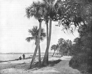 Indian River, Florida, USA