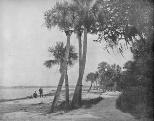 Indian River, Florida