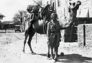 Indian camel trooper, Baghdad